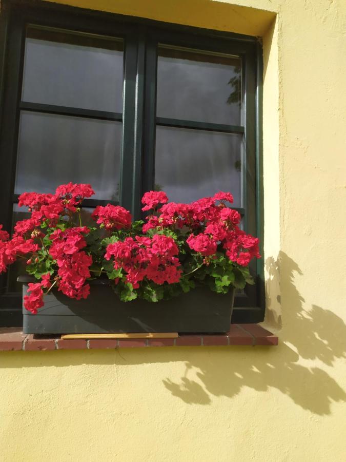 Hotel Wirtshaus Neuenkirchen Neuenkirchen auf Rugen Exterior foto